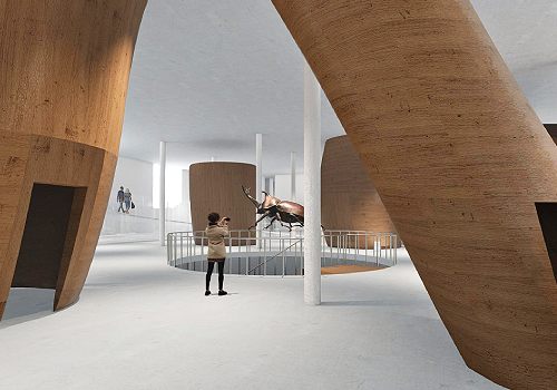 NY Architectural & Interior Design Awards - Insect Museum